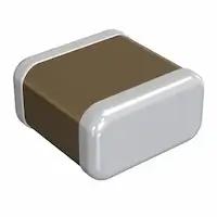 Aluminum Electrolytic Capacitor